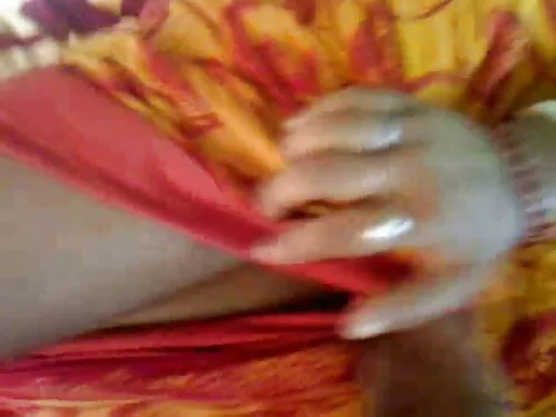 फिशनेट मोजाहरूमा बस् ...